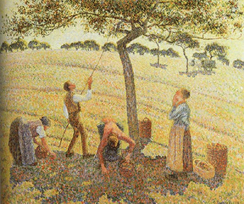 Camille Pissarro Pick  Apples oil painting picture
